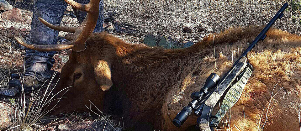 New Mexico Mobility Impaired Elk Hunts