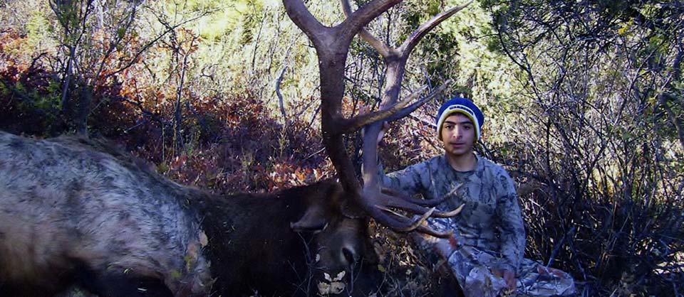 New Mexico Youth Elk Hunts