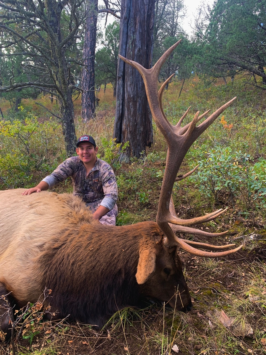 Ready To Book Your Elk Hunt?