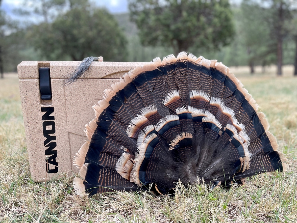 Ready To Book Your Turkey Hunt?