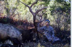 New Mexico Elk Hunts Outfitter