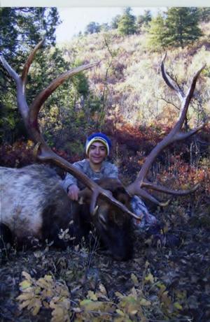 New Mexico Elk Hunts Outfitter