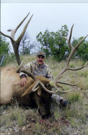 New Mexico Elk Hunts Trophy