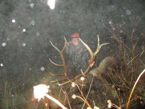 New Mexico Elk Hunts