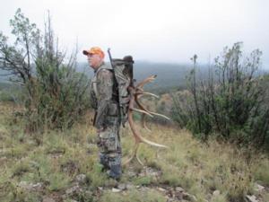 New Mexico Elk Hunts