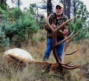 New Mexico Elk Hunts