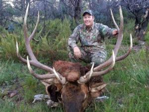 New Mexico Elk Hunts