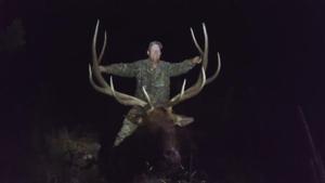 New Mexico Elk Hunts