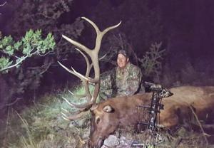 New Mexico Elk Hunts