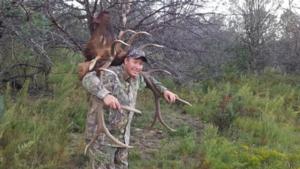 New Mexico Elk Hunts