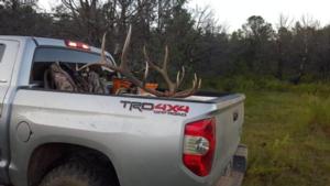 New Mexico Elk Hunts