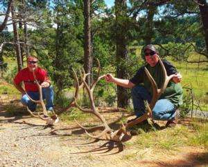 New Mexico Elk Hunts