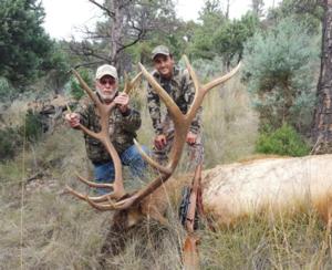 New Mexico Elk Hunts