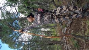 New Mexico Elk Hunts Outfitter